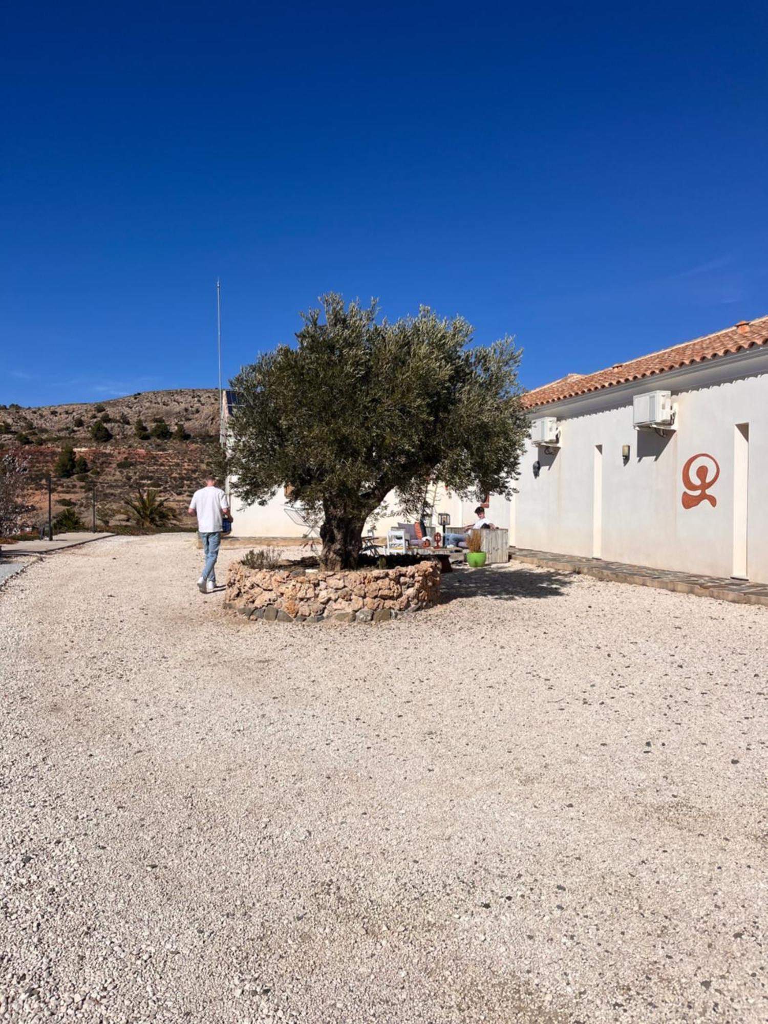 Casa Lamberdina Bed and Breakfast Fuensanta  Eksteriør billede